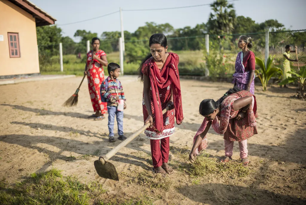 coop_en_photos_202518