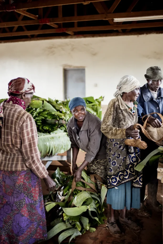 coop_en_photos_20254